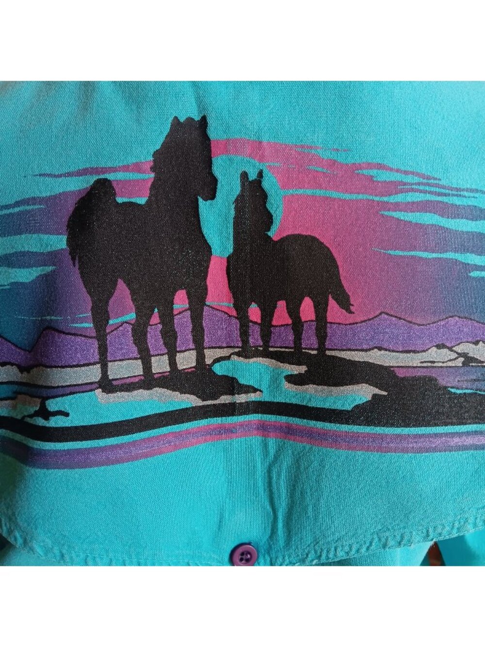 True Vintage Western Ranch Shirt Medium Turquoise Horse Desert Scene 1980's Mom